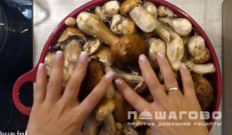 Фото приготовления рецепта: Маринованные белые грибы - шаг 1