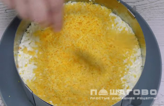 Фото приготовления рецепта: Вкусный рыбный салат Мимоза - шаг 7