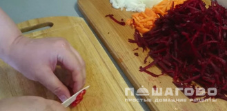 Фото приготовления рецепта: Красный борщ с пампушками - шаг 2