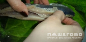 Фото приготовления рецепта: Икра из селедки с морковью и плавленным сыром - шаг 1