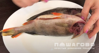 Фото приготовления рецепта: Бульон рыбный - шаг 1