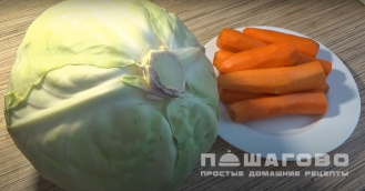 Фото приготовления рецепта: Квашеная капуста - шаг 1