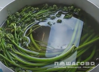 Фото приготовления рецепта: Папоротник с курицей - шаг 1