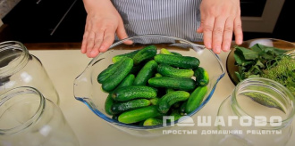 Фото приготовления рецепта: Маринованные огурцы - шаг 1