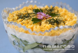 Фото приготовления рецепта: Легкий салат с курицей, огурцом и черносливом - шаг 8