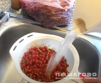 Фото приготовления рецепта: Джем из красной смородины - шаг 2
