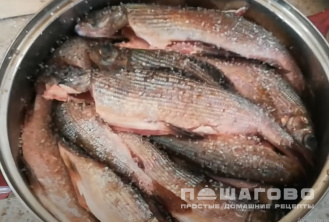 Фото приготовления рецепта: Хариус холодного копчения - шаг 2