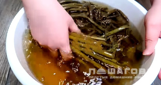 Фото приготовления рецепта: Салат из папоротника соленого - шаг 1