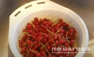 Фото приготовления рецепта: Джем из красной смородины - шаг 1