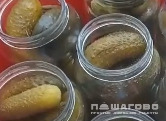 Фото приготовления рецепта: Засолка огурцов в крепком рассоле - шаг 3