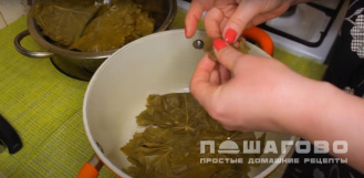 Фото приготовления рецепта: Долма с соусом мацони - шаг 4