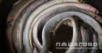 Фото приготовления рецепта: Минога в горчичном соусе - шаг 3