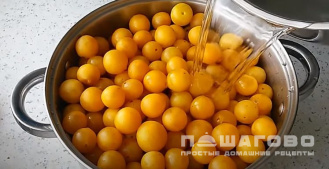 Фото приготовления рецепта: Повидло из алычи - шаг 1