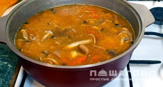 Фото приготовления рецепта: Шурпа из утки - шаг 10