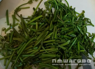 Фото приготовления рецепта: Папоротник с курицей - шаг 2