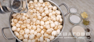 Фото приготовления рецепта: Грибы маринованные - шаг 1