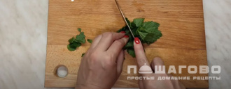 Фото приготовления рецепта: Домашний лимонад лимонов и мяты с газировкой без варки - шаг 3