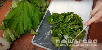 Фото приготовления рецепта: Зеленые щи из ревеня с картошкой - шаг 4