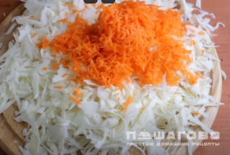 Фото приготовления рецепта: Тушеная капуста с картошкой - шаг 1