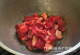 Фото приготовления рецепта: Шурпа азербайджанская - шаг 1