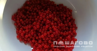 Фото приготовления рецепта: Калина, перетертая с сахаром - шаг 1