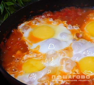 Фото приготовления рецепта: Шакшука (азербайджанская кухня) - шаг 7
