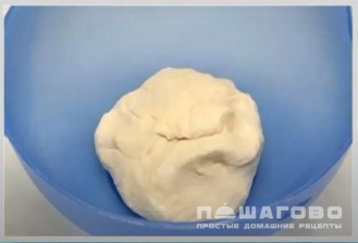 Фото приготовления рецепта: Пицца домашняя с фаршем на дрожжевом тесте - шаг 1