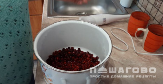Фото приготовления рецепта: Морс брусничный - шаг 1