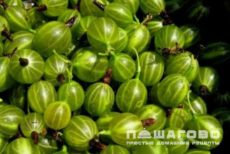 Фото приготовления рецепта: Компот из крыжовника с инжиром - шаг 1