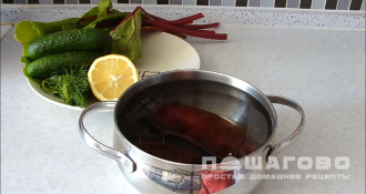 Фото приготовления рецепта: Свекольник летний с ботвой - шаг 1