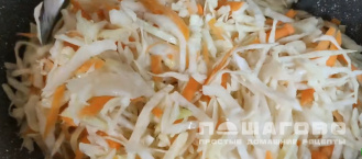 Фото приготовления рецепта: Бигос с мясом - шаг 1