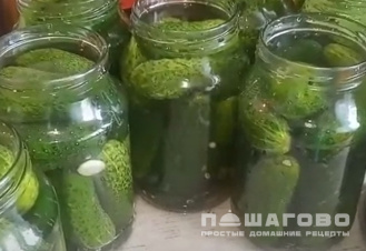 Фото приготовления рецепта: Засолка огурцов в крепком рассоле - шаг 2