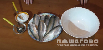 Фото приготовления рецепта: Пелядь (сырок) пряного посола - шаг 1