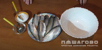 Фото приготовления рецепта: Пелядь (сырок) пряного посола - шаг 1