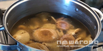 Фото приготовления рецепта: Солёные волнушки (на зиму) - шаг 3