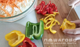 Фото приготовления рецепта: Капуста закусочная - шаг 1