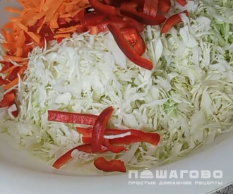 Фото приготовления рецепта: Капуста быстрого посола - шаг 1