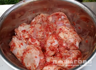 Фото приготовления рецепта: Куриный шашлык - шаг 2