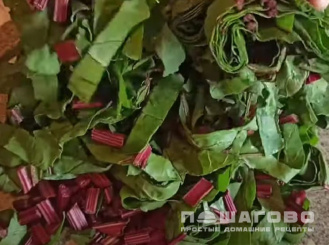 Фото приготовления рецепта: Маринованный мангольд на зиму - шаг 1