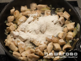 Фото приготовления рецепта: Бефстроганов из курицы - шаг 2